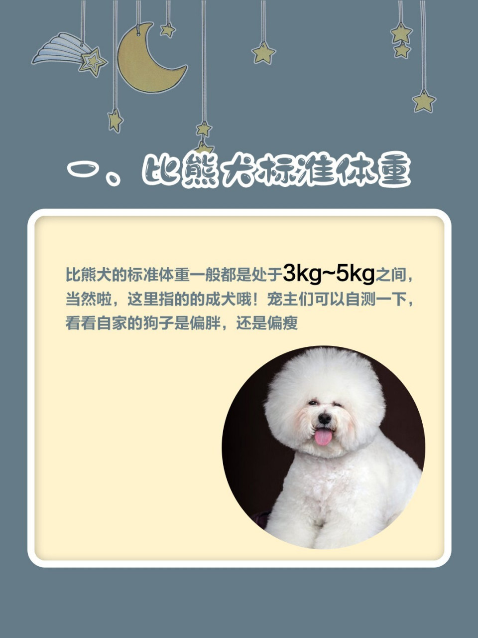 比熊犬标准体重[白眼] 比熊犬的标准体重一般都是处于3kg5kg旨滗