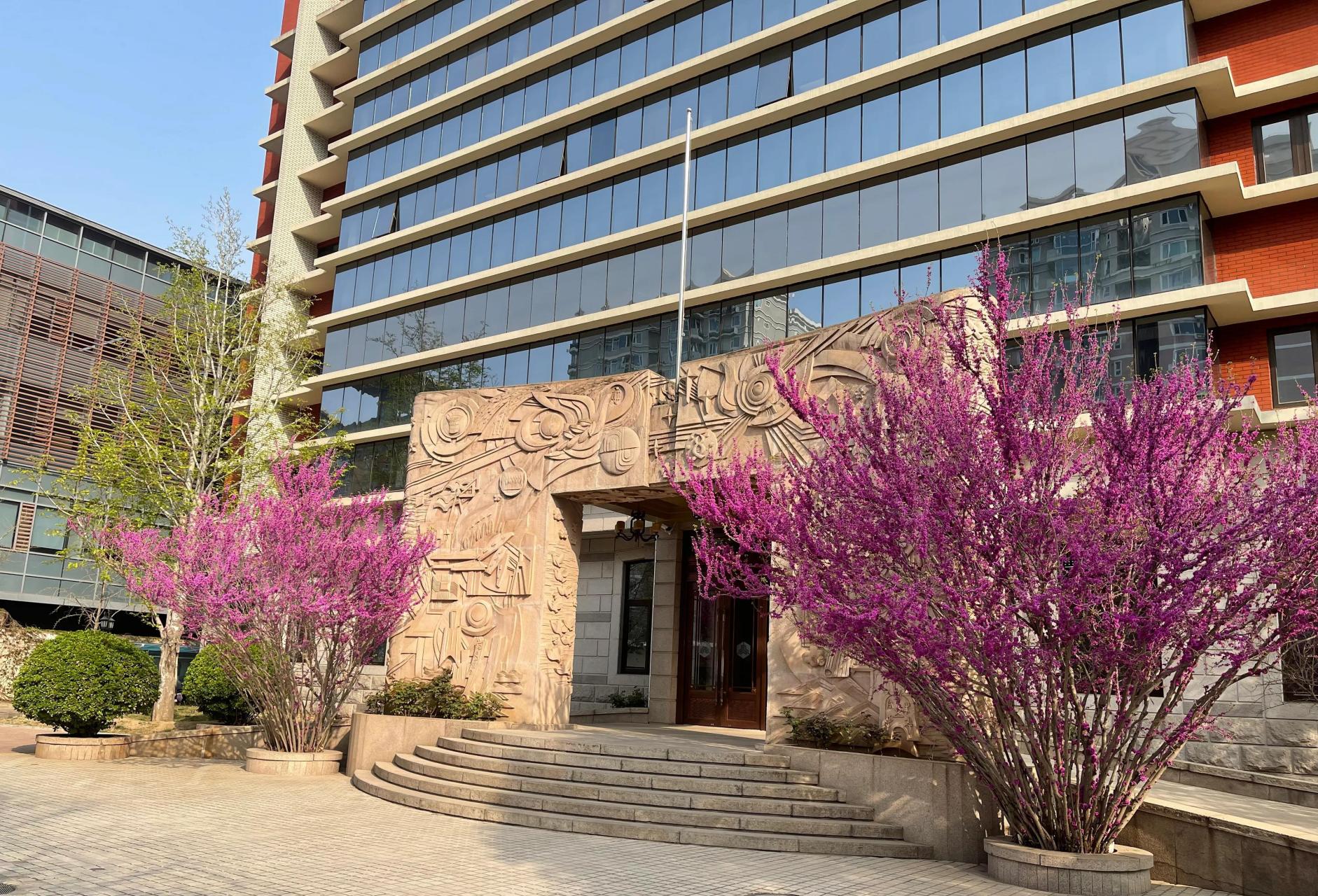 今天来清华大学补课,清华大学校园里的紫荆花开了,再拼搏两个月就毕业