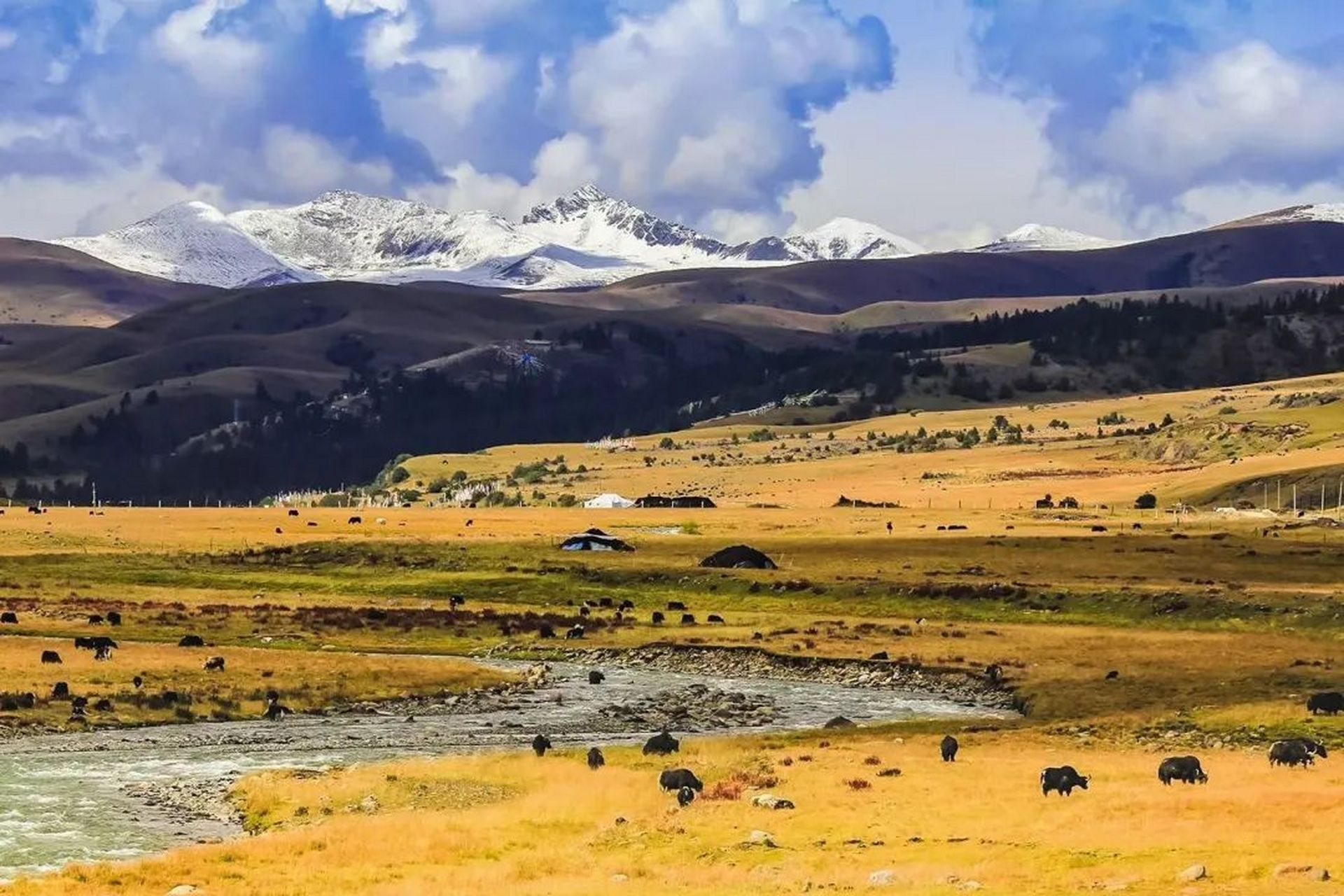 四川新龙县的拉日马草原,这里景色如诗如画,三面环山,雪山耸立,美不胜