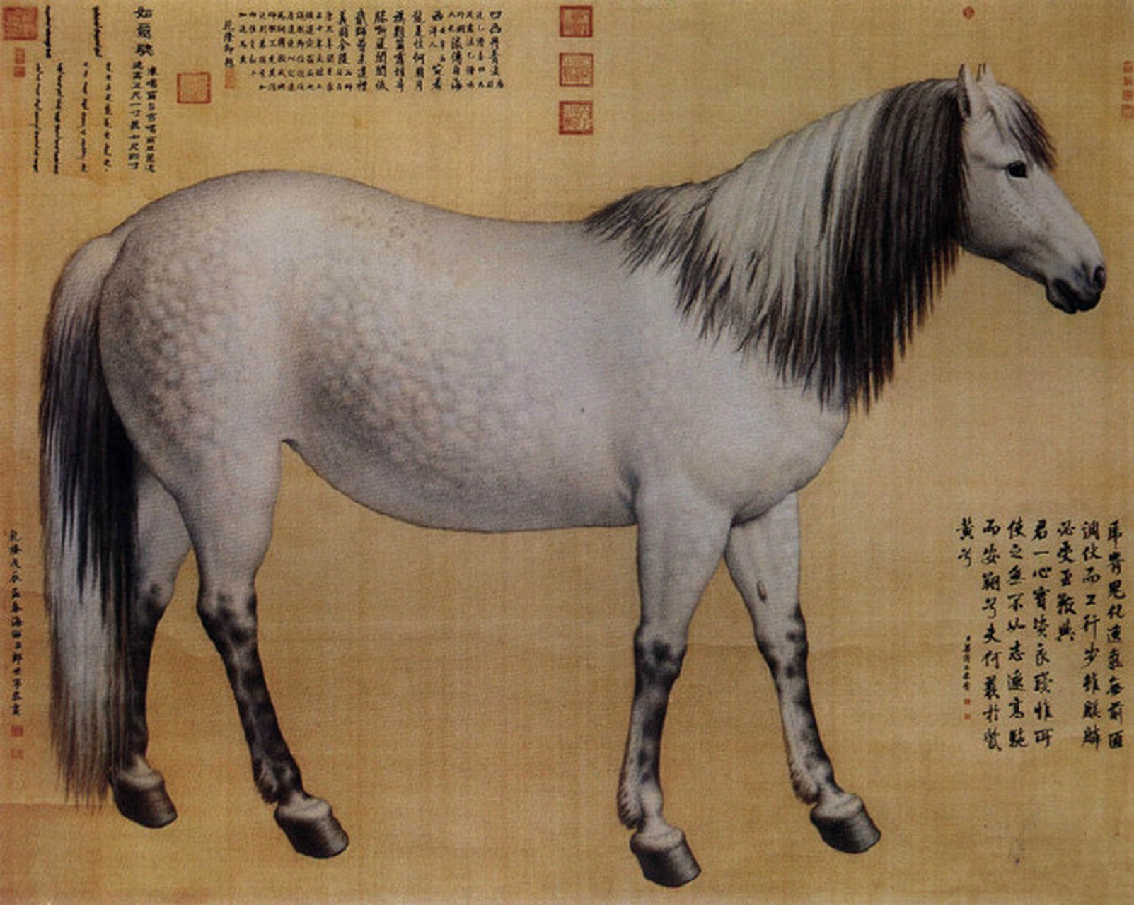 清宫十家:郎世宁《十骏图》欣赏(7):十骏图之"如意骢".