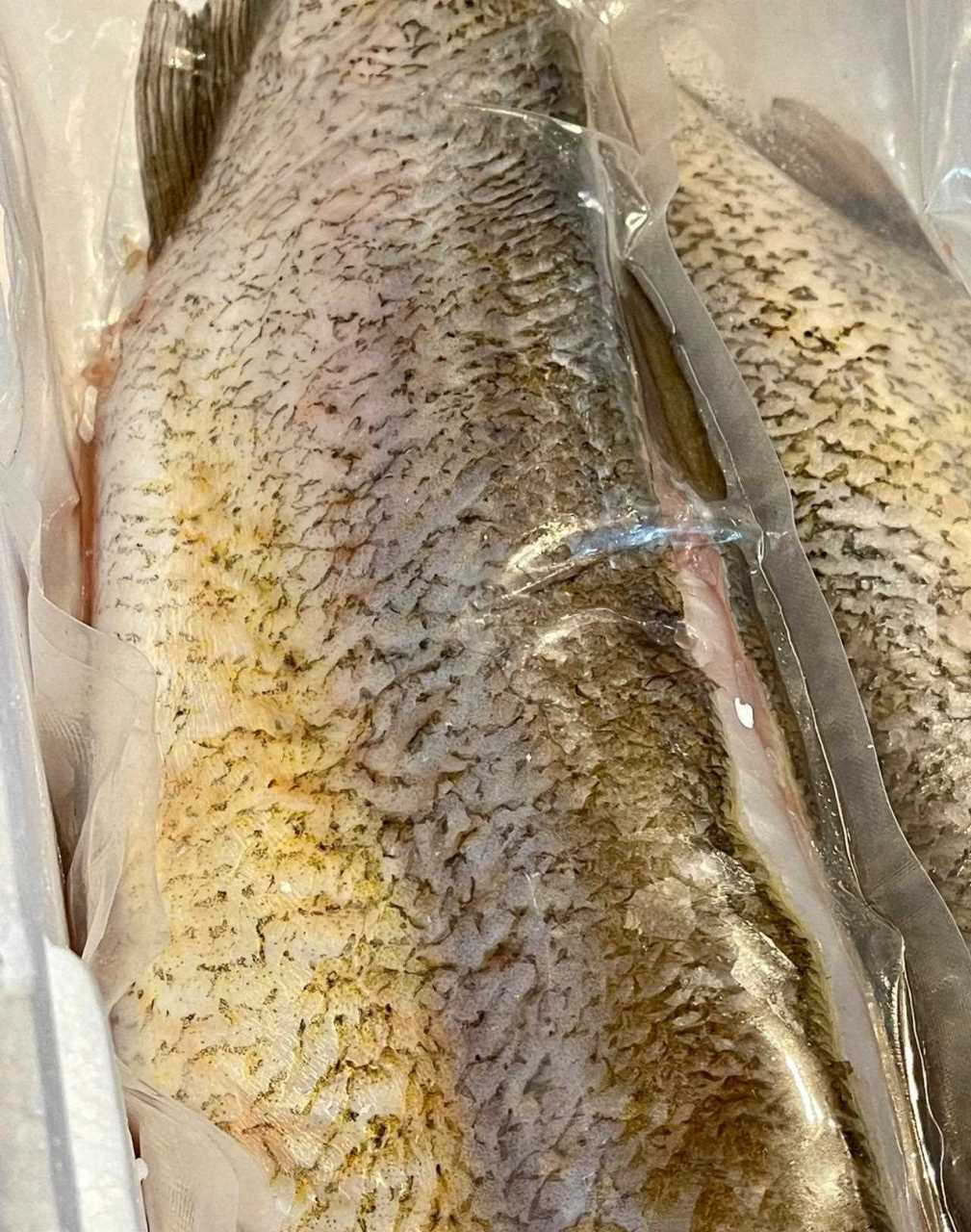 我们湖北最有名的特色淡水鱼之一丹江口大白刁,又叫做翘嘴鲌鱼,肉质