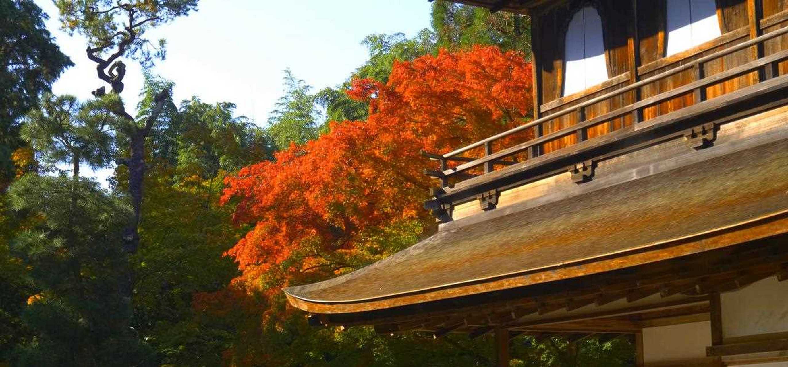 优美的枯山水庭院银阁寺!