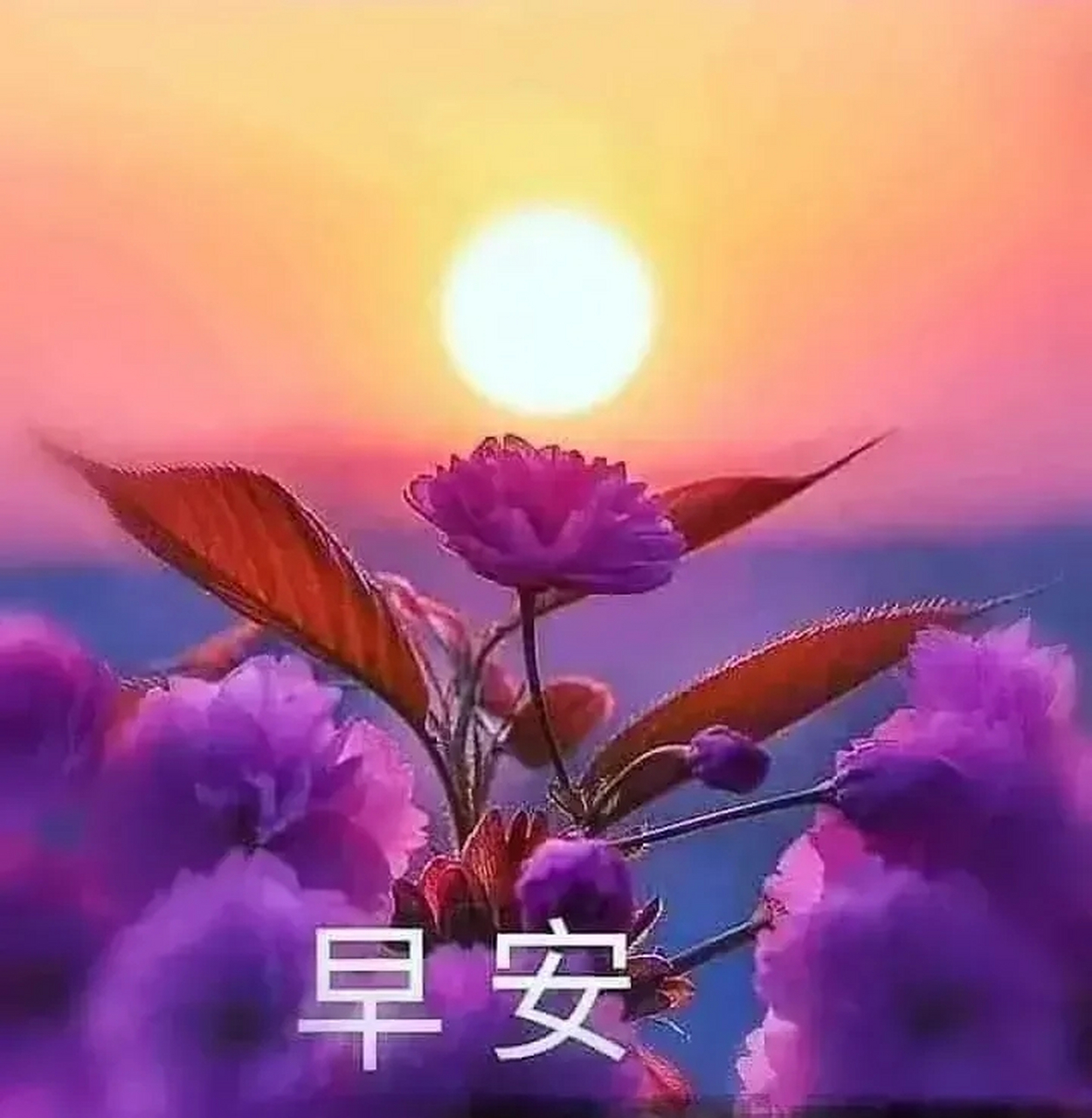 今日早安问候#   昆河晨语:人间情暖!