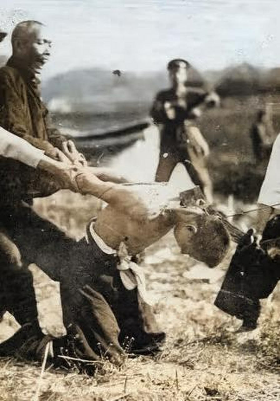 1923年,民国时期,一位犯人在郊区的刑场被处决.