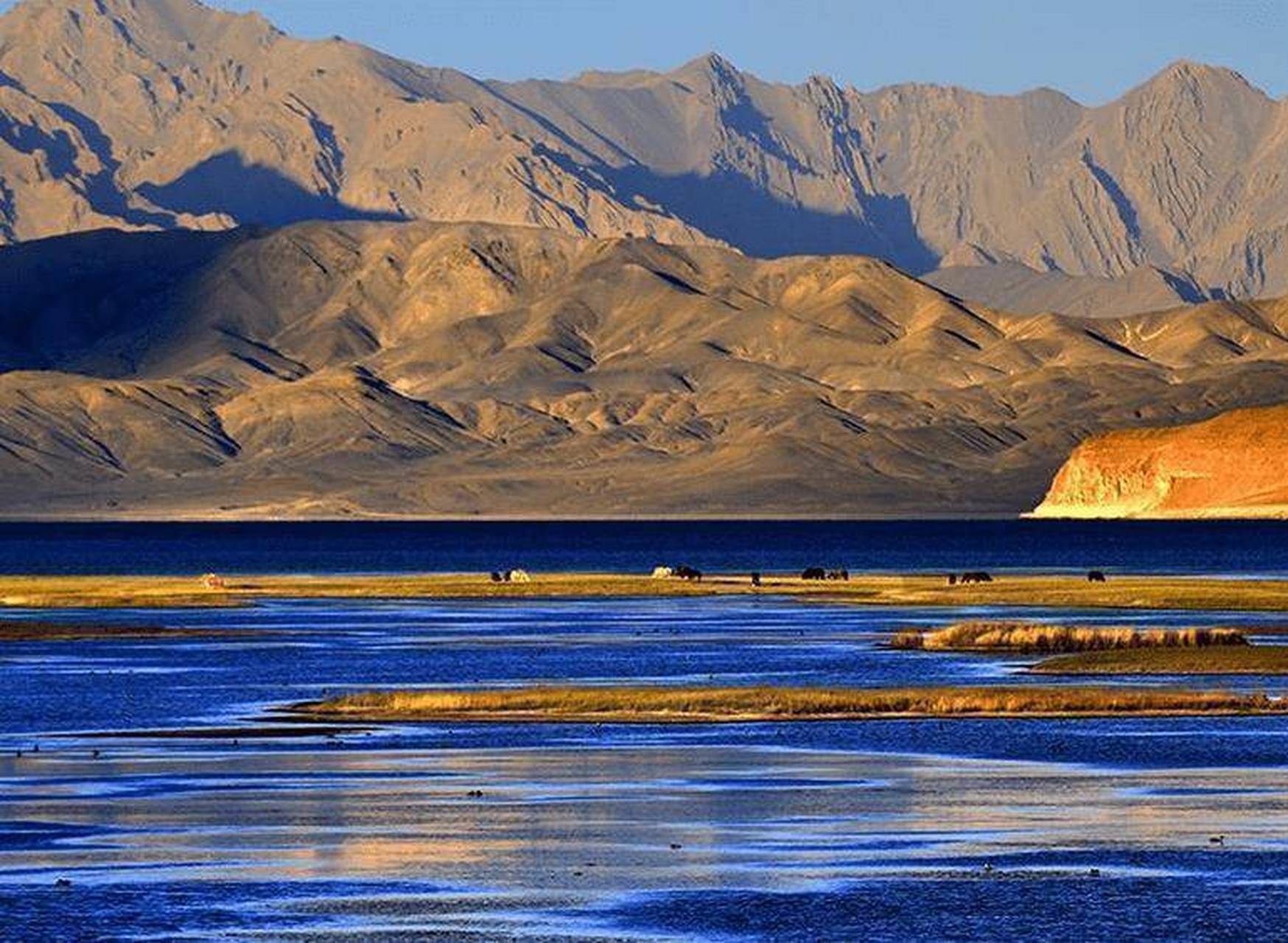 班公湖是位于西藏阿里地区的一个国际湖泊,海拔4200多米,整个湖泊面积