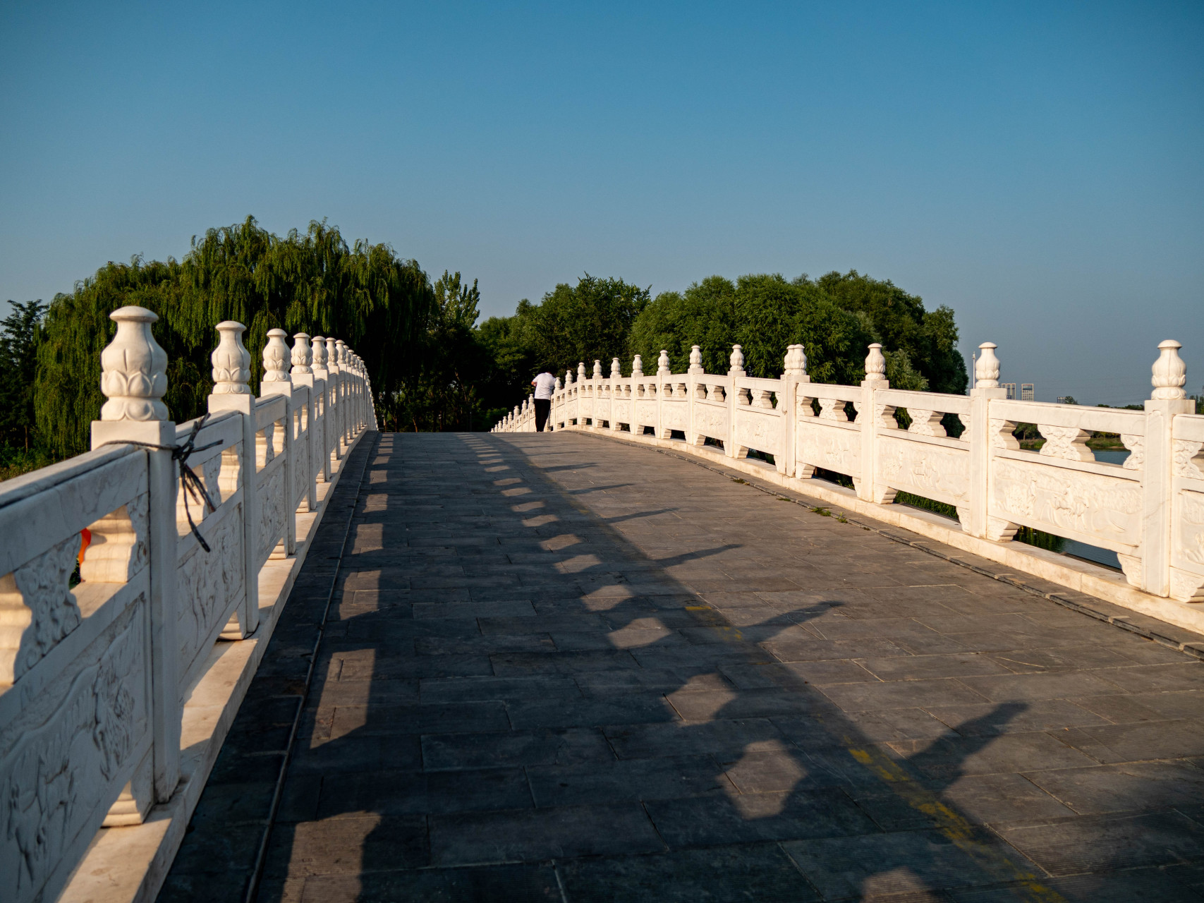 今天来到位于大兴区的南海子湿地郊野公园,据说是北京市最大的自然