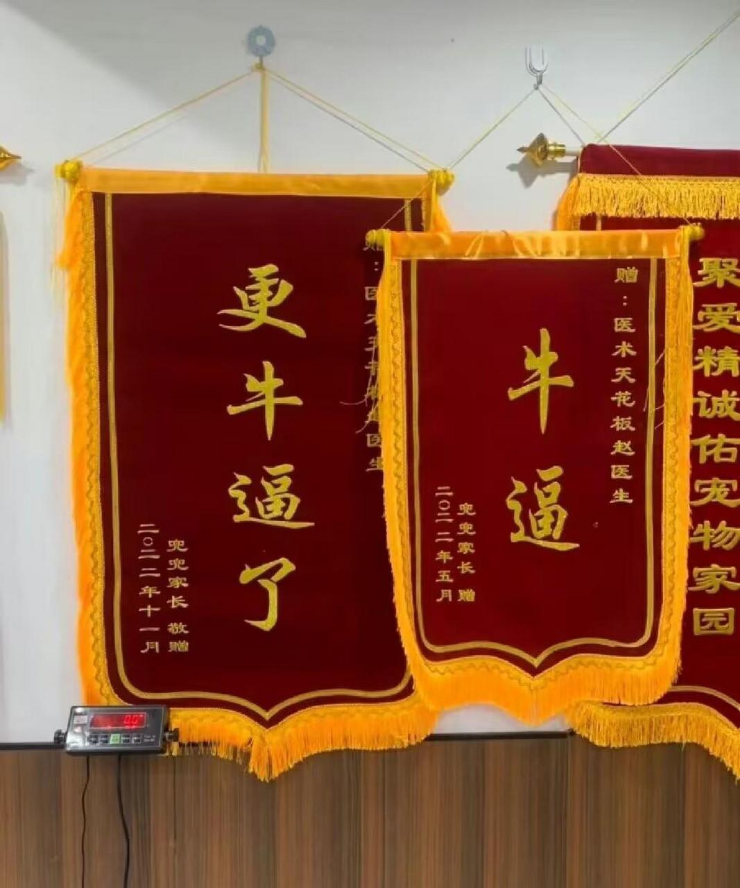 网友:这么直白的锦旗我还是第一次见[捂脸] #趣图搞笑