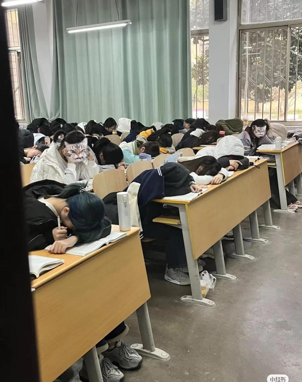 压抑的大学压抑的研究生,读了二十几年学为了啥?