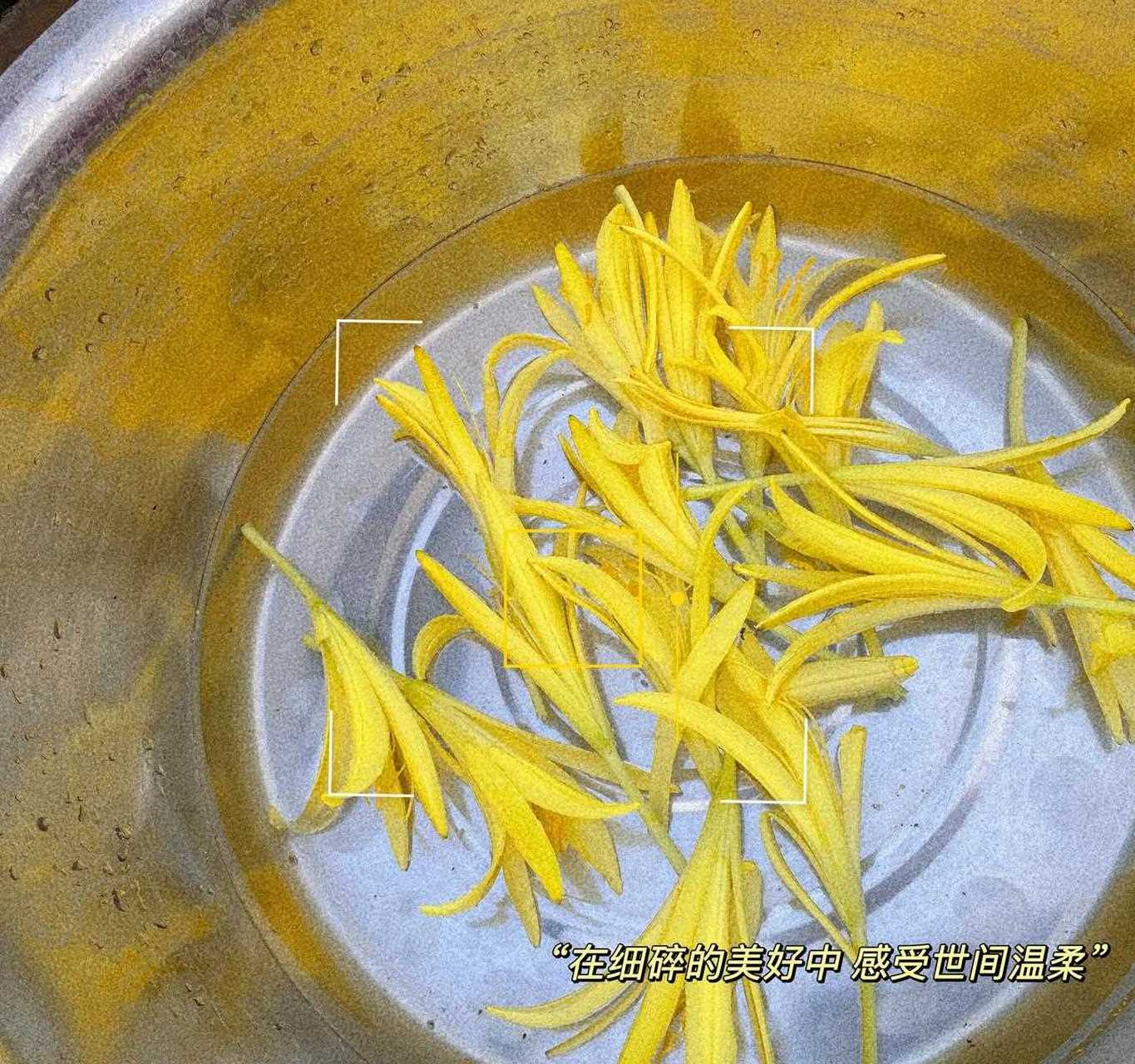 黄花花黄花黄,花黄黄花朵朵黄,朵朵黄花黄又香,黄花花香向太阳.