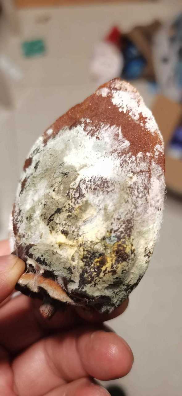 柿饼霉了能吃吗?