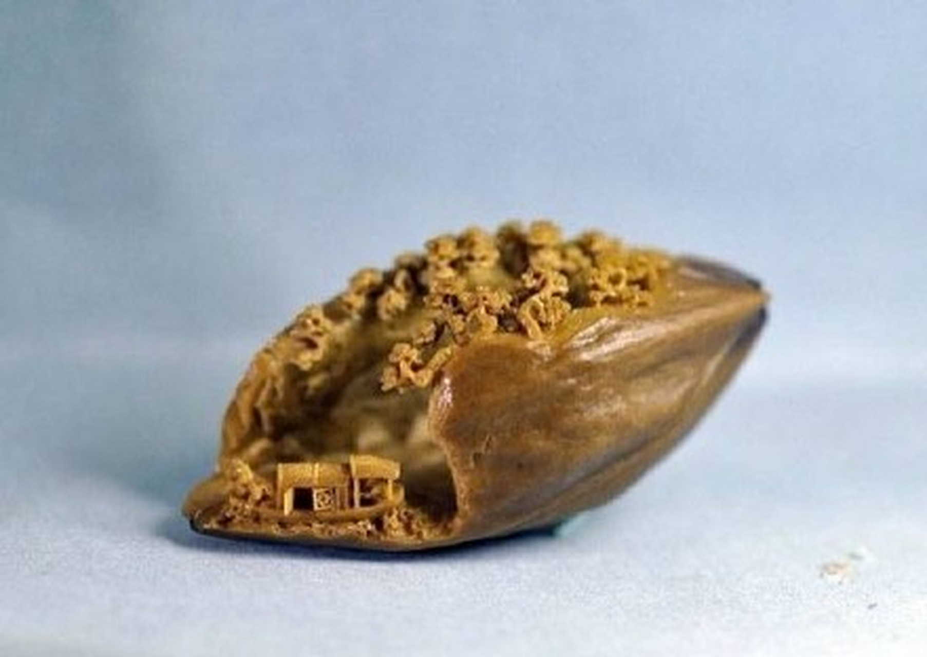 《核舟记》 明 · 魏学洢    明有奇巧人曰王叔远,能以径寸之木,为