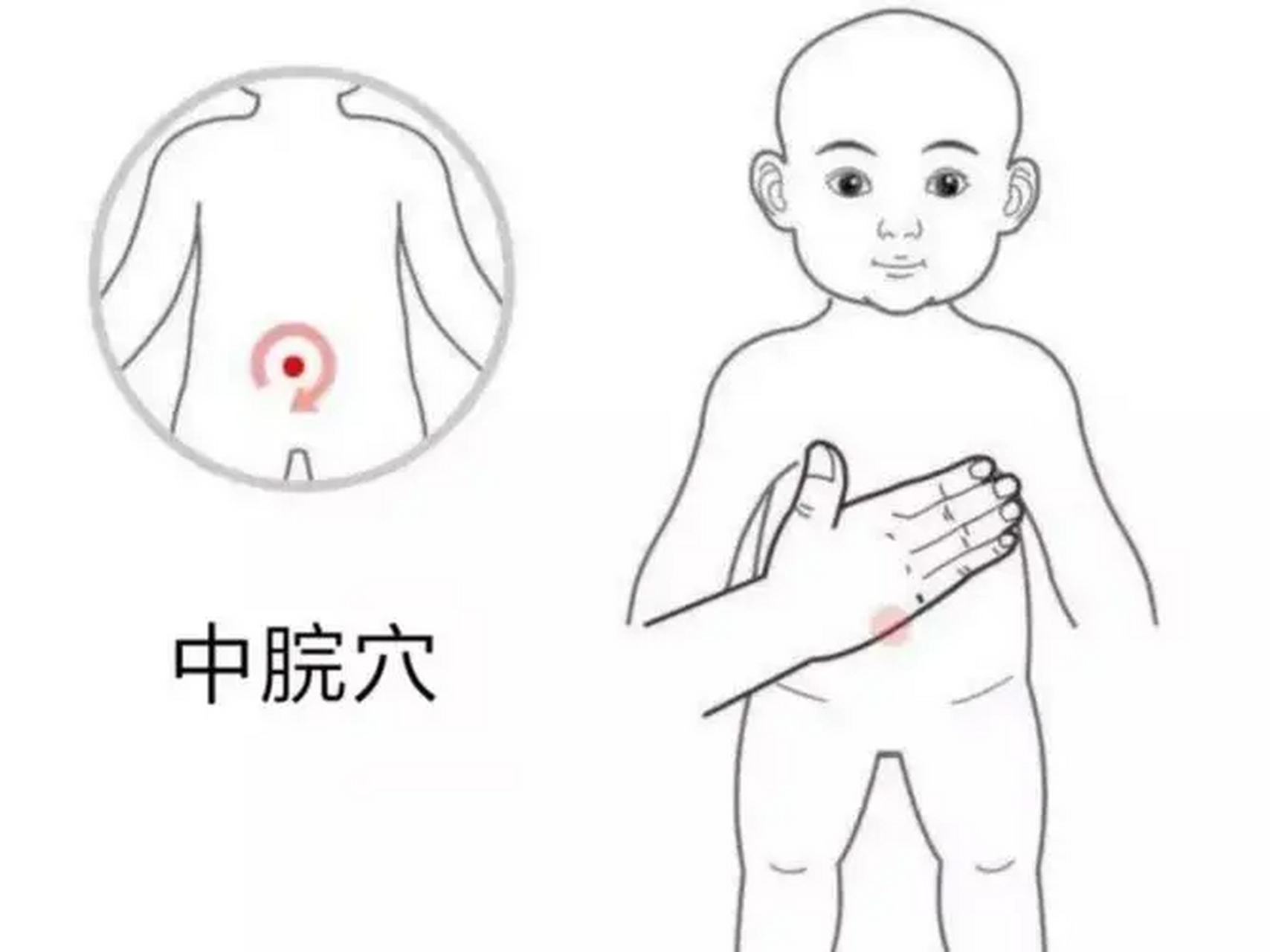 3个长高穴位,暑假身高翻倍长  1,中脘穴 位于正中线上,在上腹部和肚脐