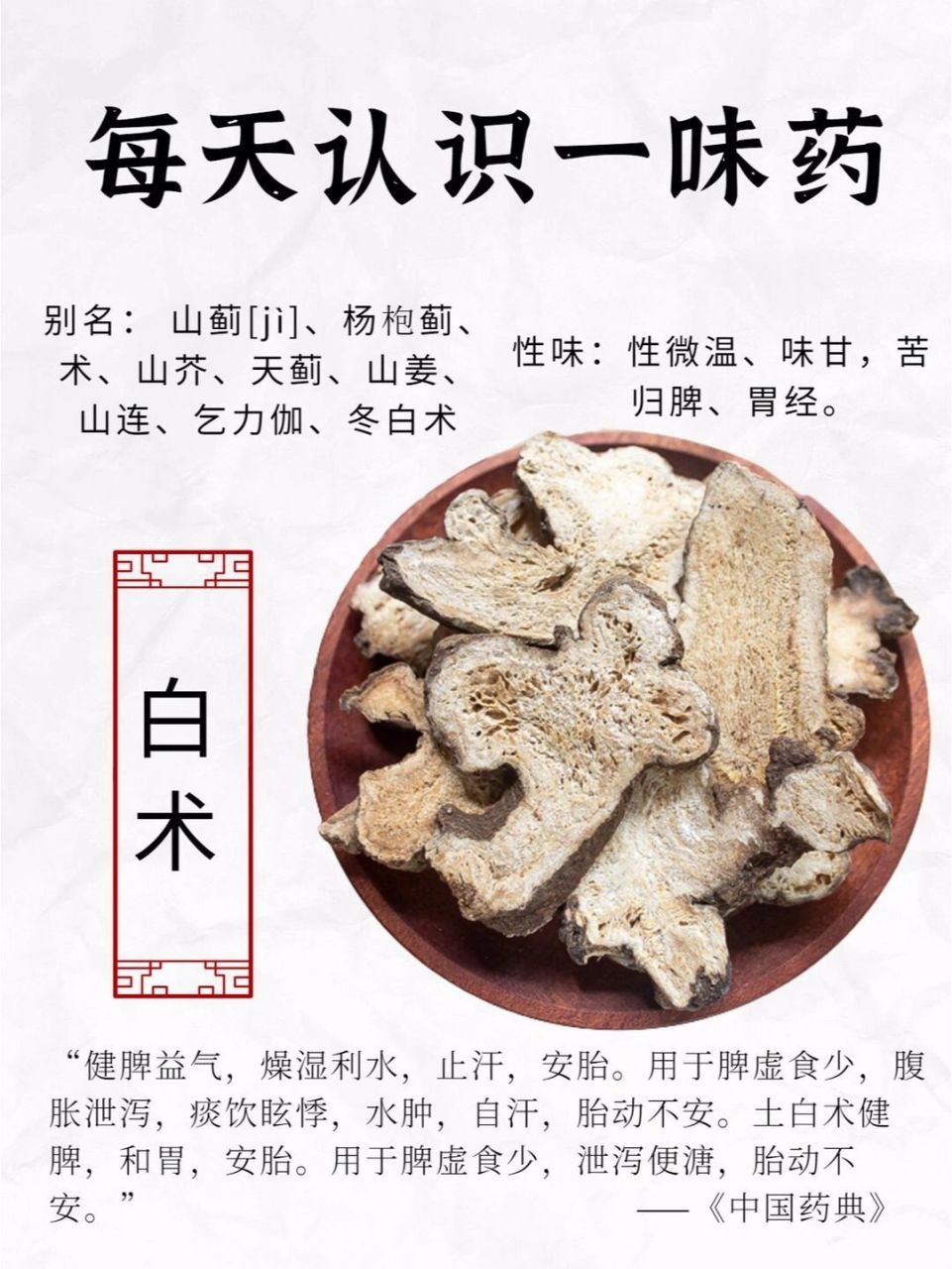 每天认识一味药:白术