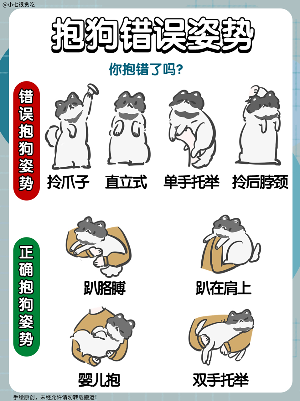 小&中大型犬正确抱狗姿势|你是否抱对!#狗狗