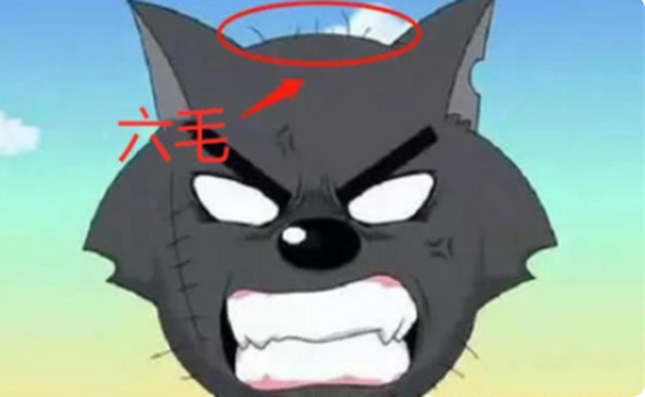 这确定不是灰太狼的帽子!