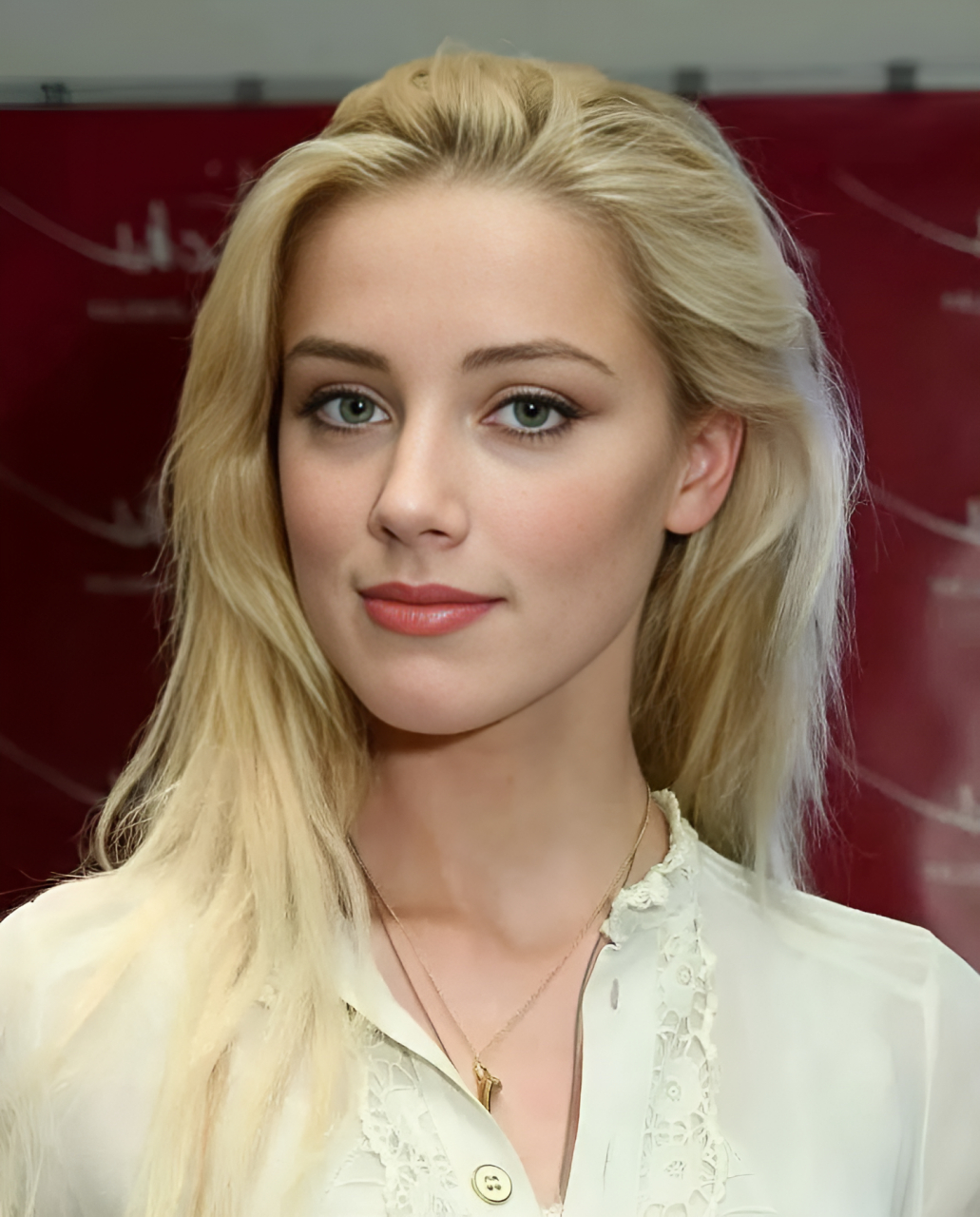 这张照片拍摄于2012年,26岁的好莱坞女星艾梅柏·希尔德,在《狂暴飞车