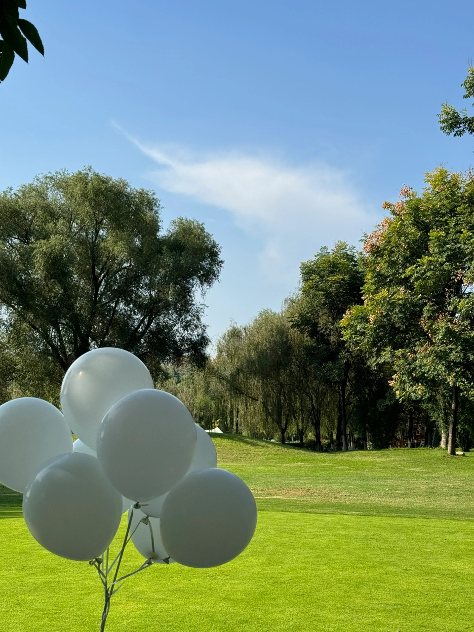 西安游记 | 清水庄园的金色时光  亲爱的朋友们,我终于来到了传说中的