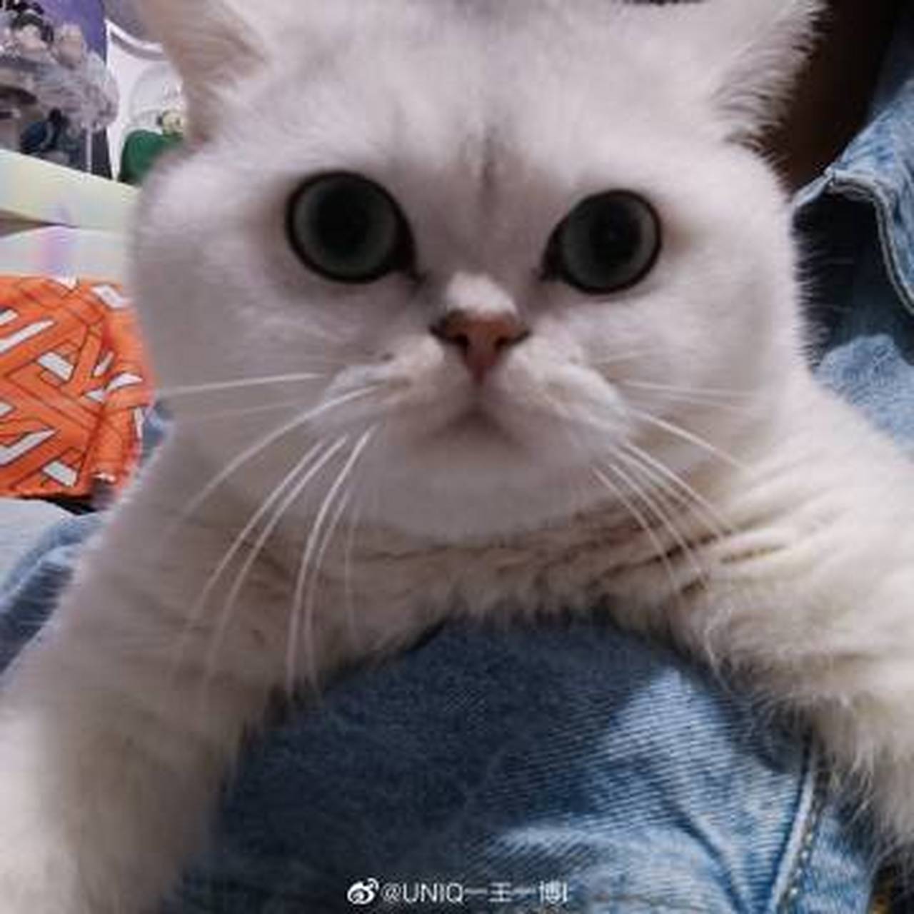 外面7度 我的怀里37度