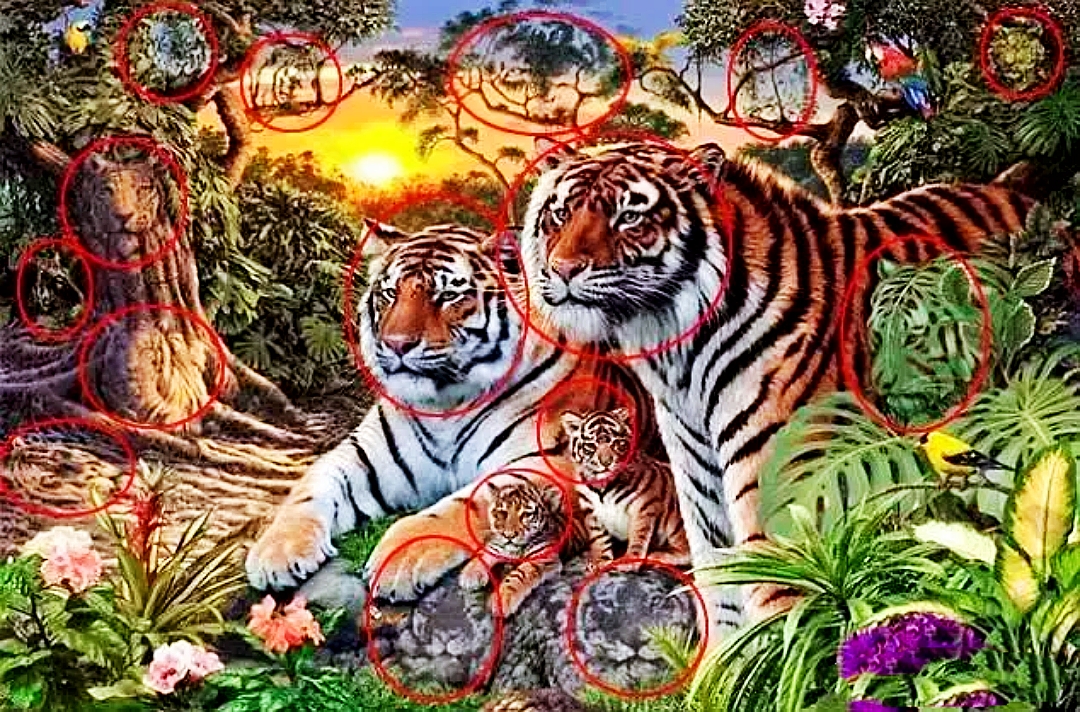 这张图里竟然隐藏了16只老虎!你能全部找到吗?