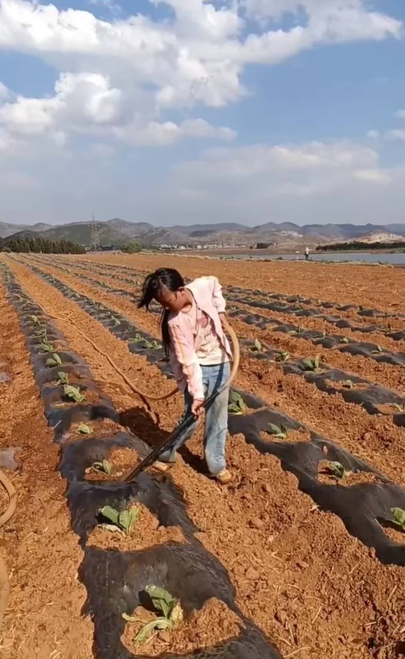 农村的孩子真是好样的,帮家里干活,给烟浇水!