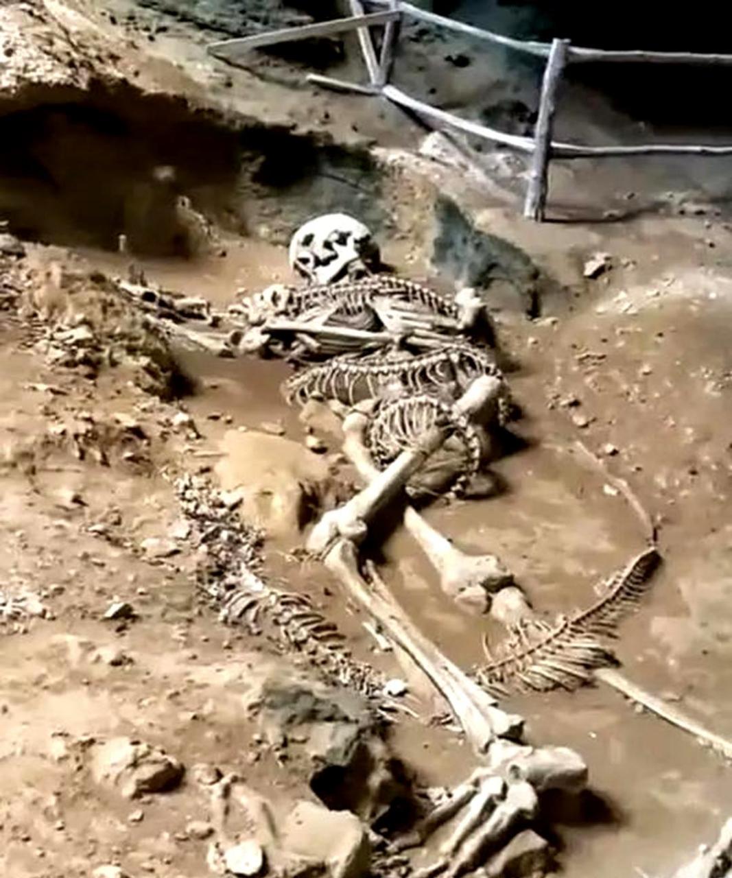 一条巨大的蛇骨和人类的白骨缠绕在一起,或许是许仙和白素贞.