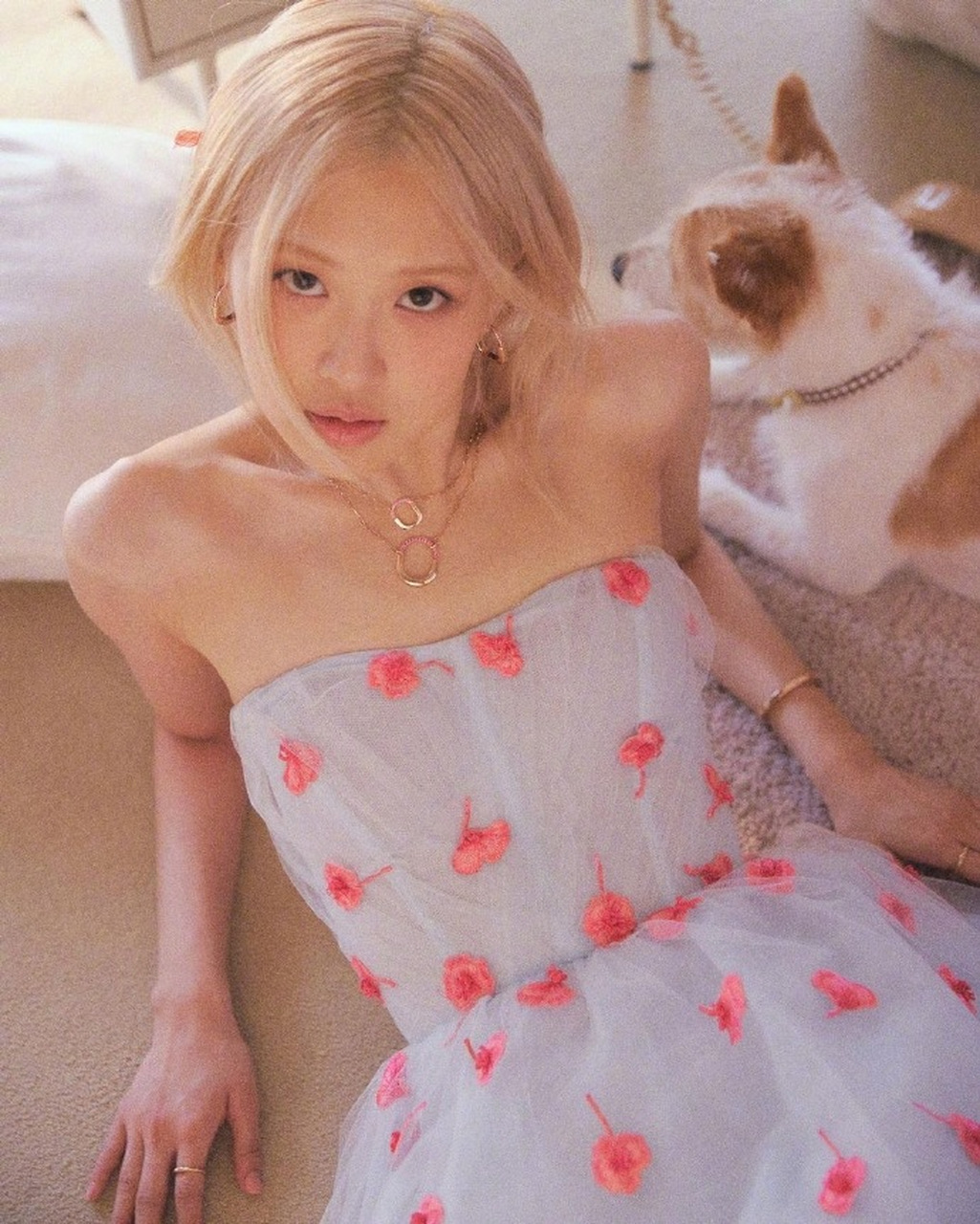 rose07朴彩英×tiffany&co联名系列画报释出,梦幻粉玫瑰,散发浪漫