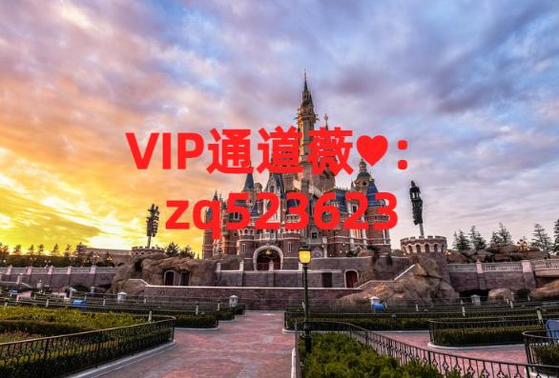 上海迪士尼vip会员上海迪士尼vip会员门票多少钱,多少钱一张,怎么买,