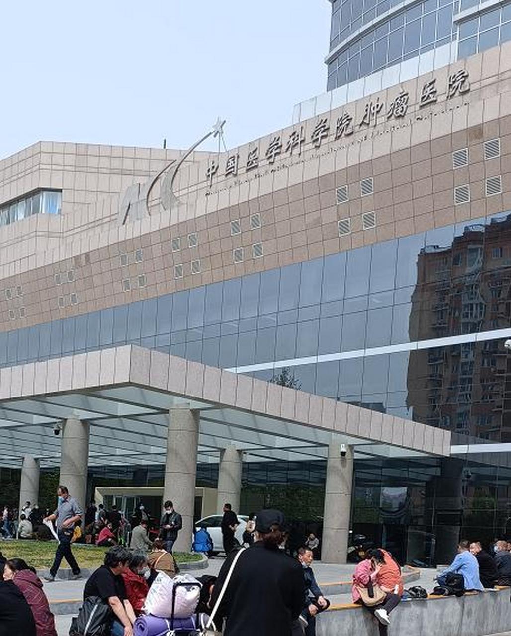 包含中國醫學科學院腫瘤醫院、延慶區代幫掛號，服務好速度快的詞條