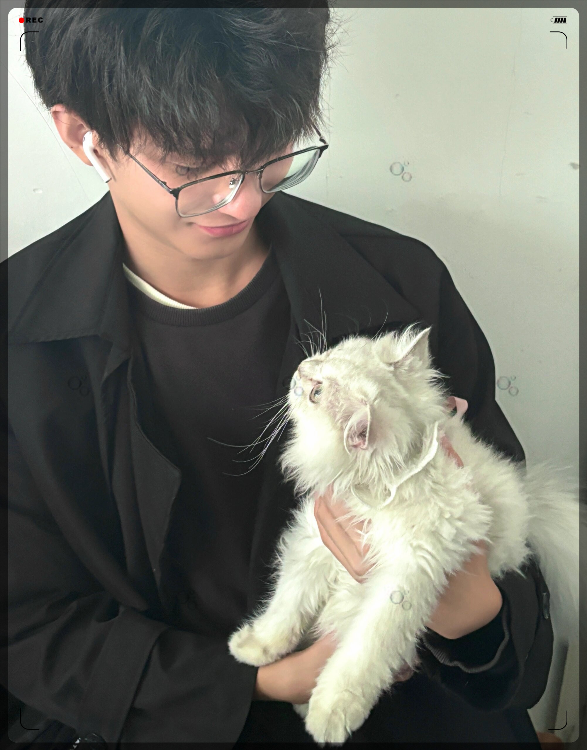 还有一声喵是爱你的,它在你耳边呢喃,陪伴你入眠. #我要上热门