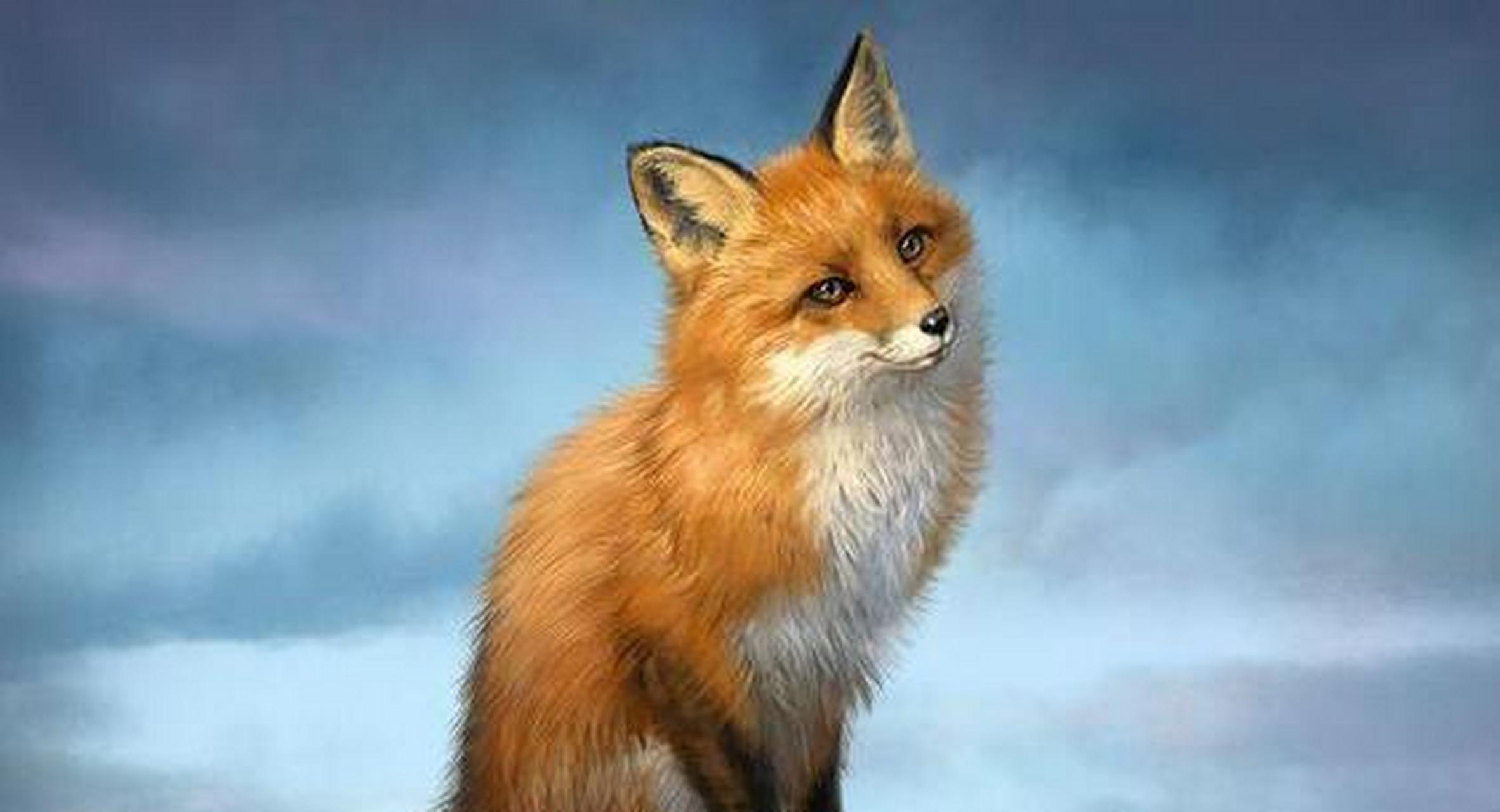 【深夜怪谈之狐女】 一位农夫在地里除草,突然吹来一阵黑风,农夫听见