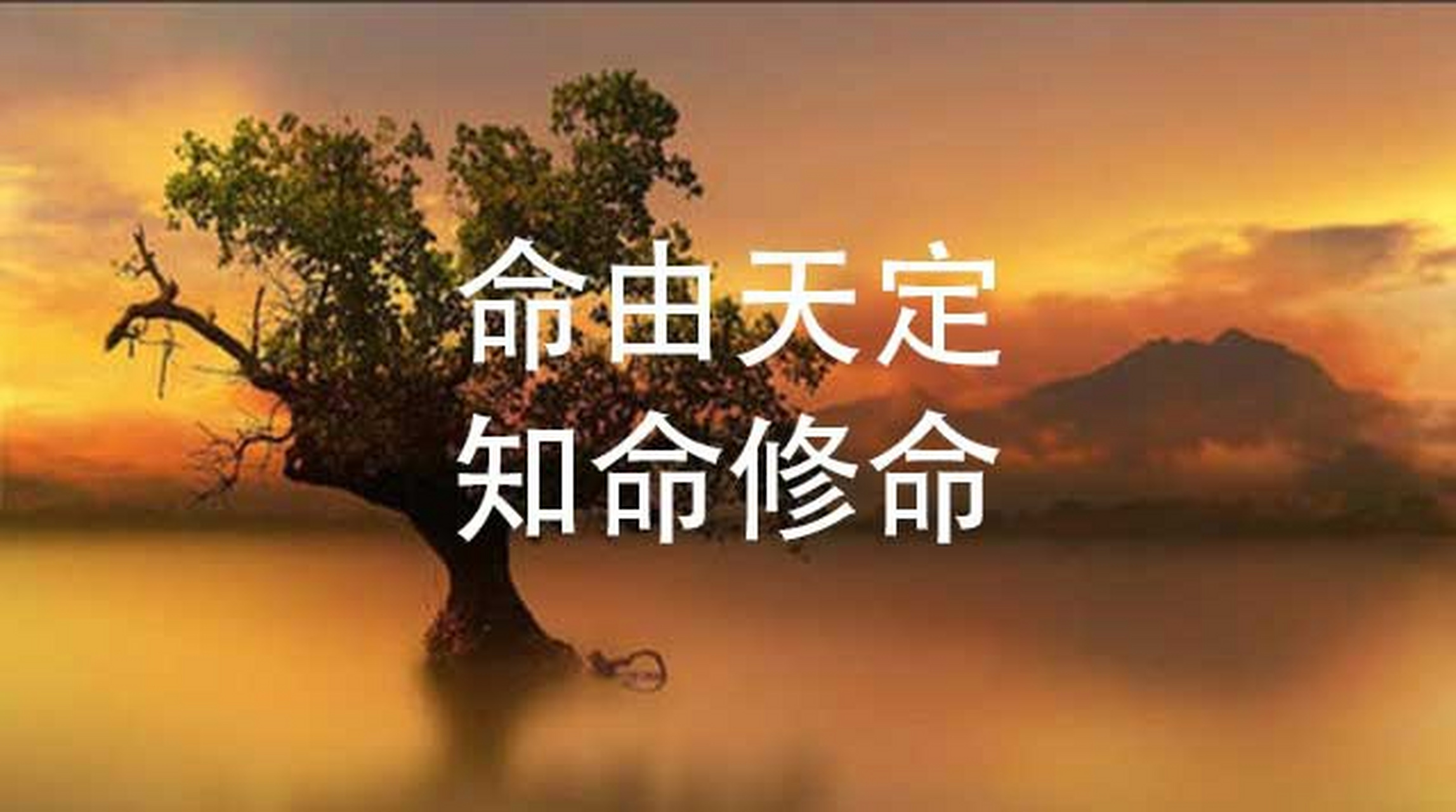 人们常说:"人的命,天注定.