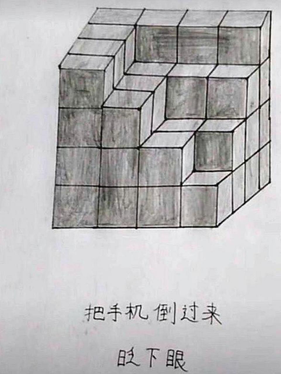 打开这张图,把手机倒过来,眨眨眼睛,你能看到什么?