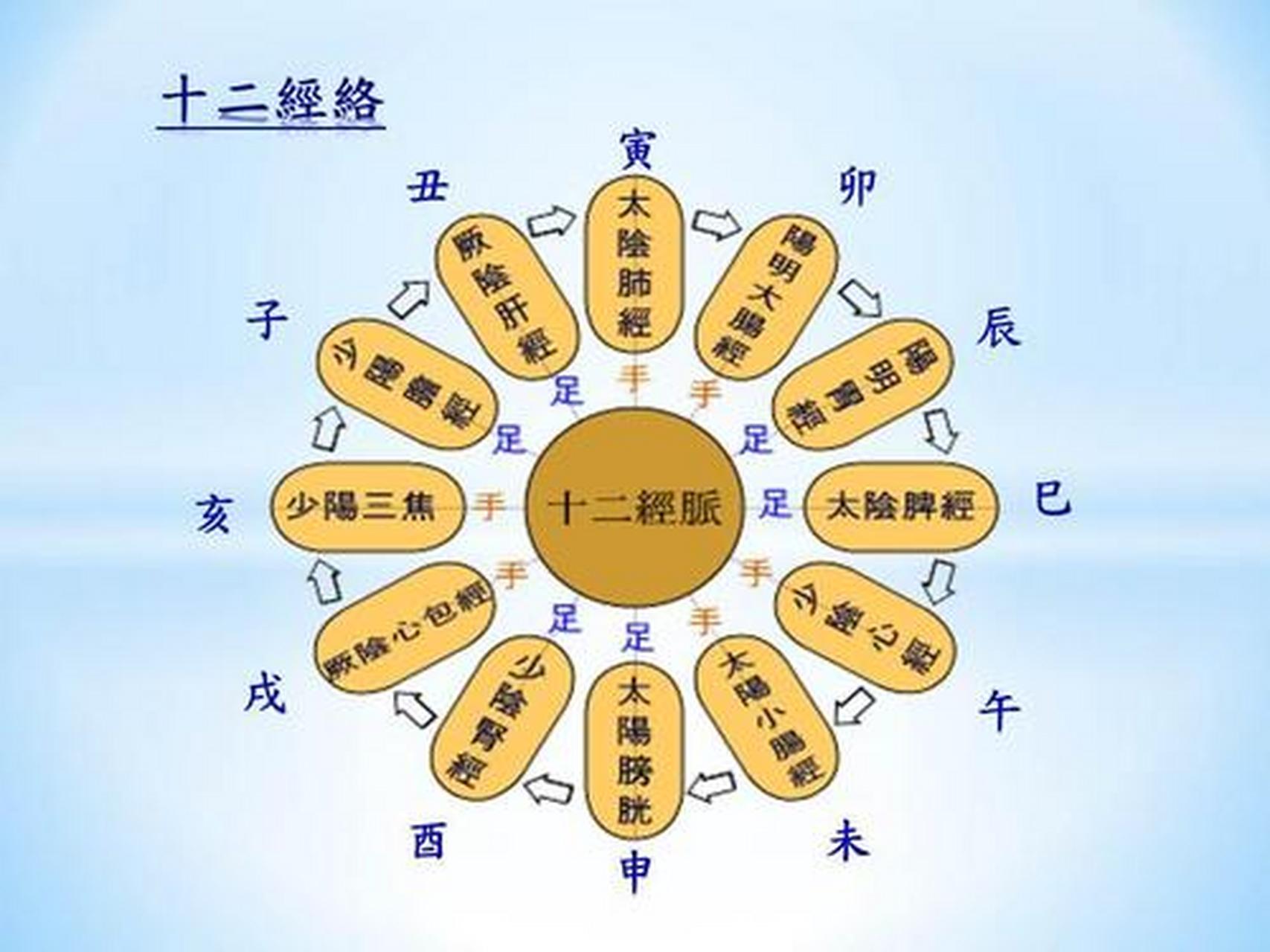 动态夏日创作季# 涨知识:人体经络24小时气血运行时间表  丑时01:00