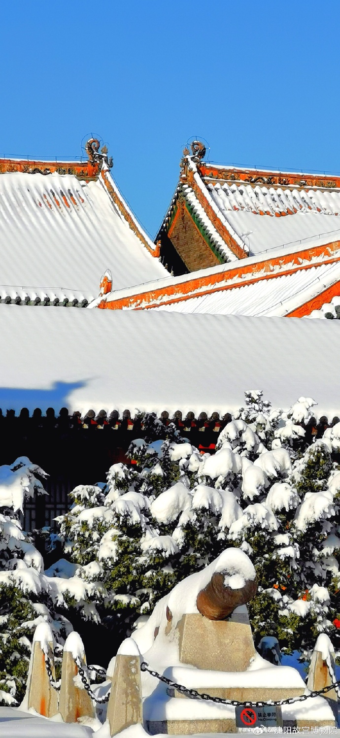 雪中的沈阳故宫