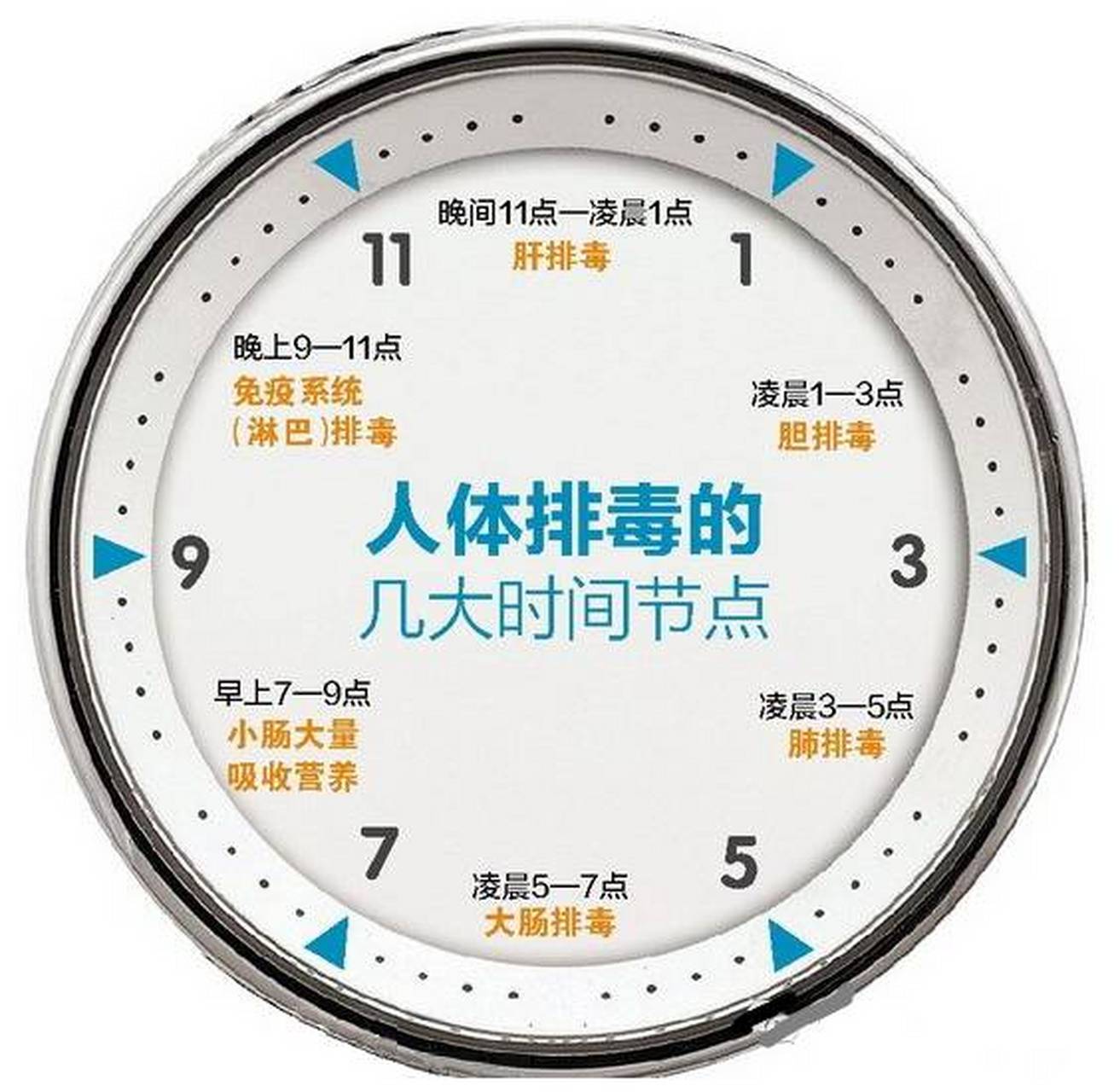 【五脏六腑工作时间表】  1,	肺经——凌晨3-5点——深睡眠 2,	大肠经