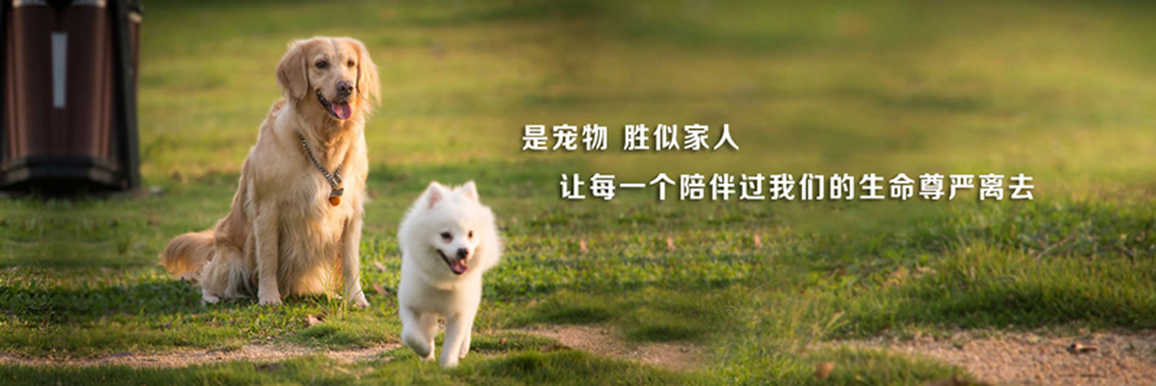 沈阳寄情宠物火化中心,专注11年,送别超56,869位;专业服务,8道流程,给