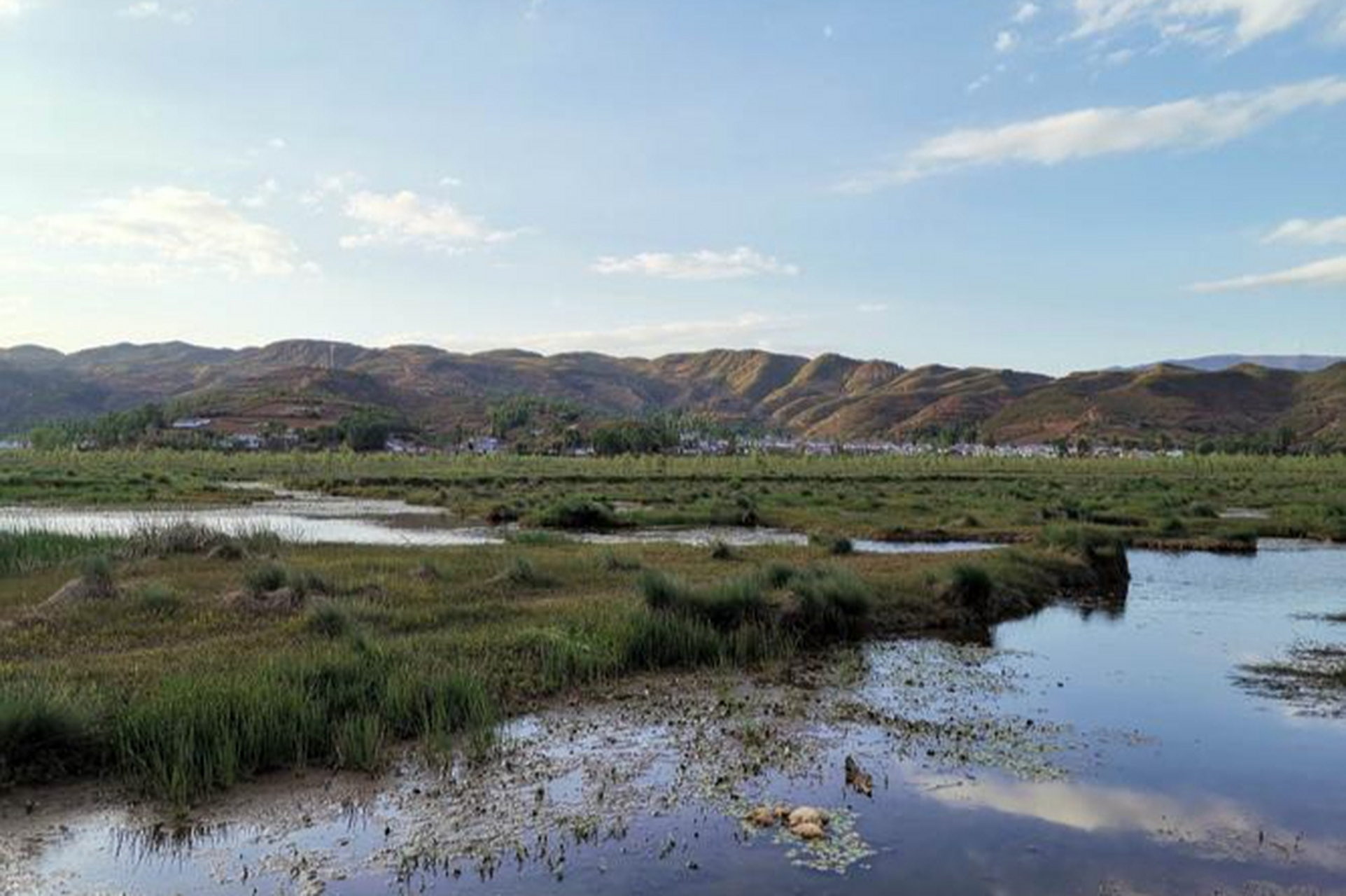 乐安湿地,位于布拖县的西溪河片区乐安乡,是四川省内少有的成片湿地之