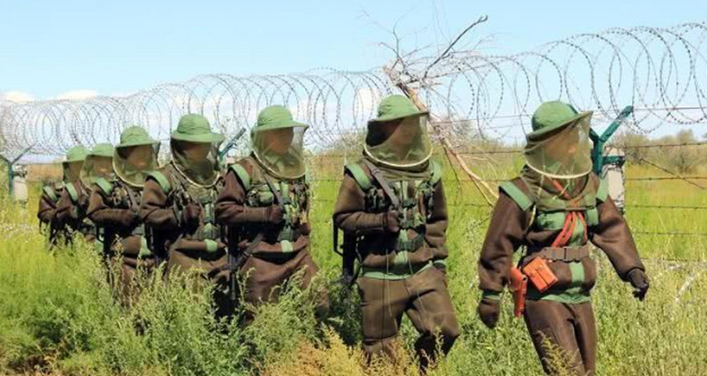 军人全天穿防护服,7条军犬被咬死,中国北湾边防线有多恐怖?