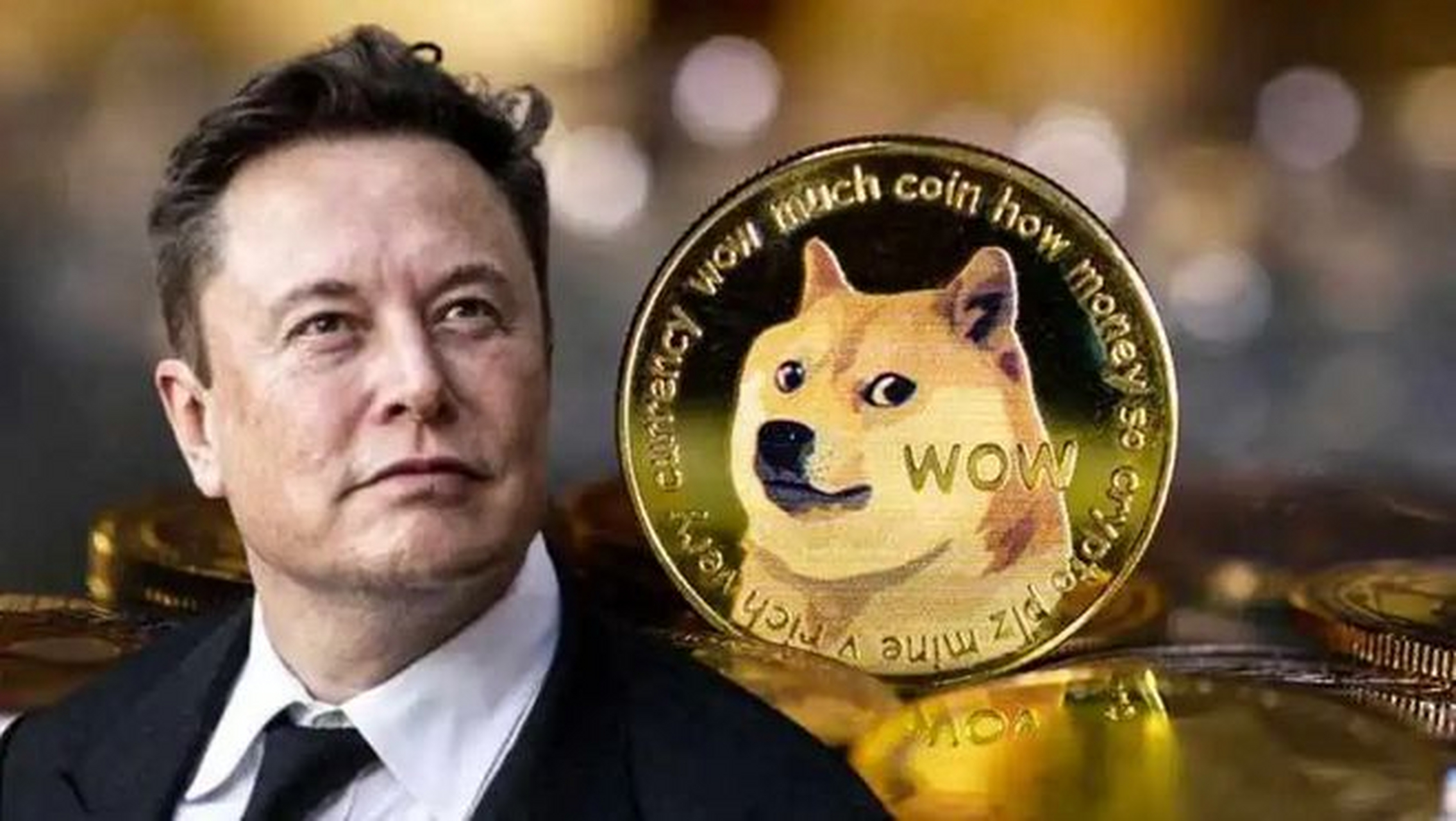 马斯克将推特图标换成柴犬# 狗狗币短时涨幅超30%!