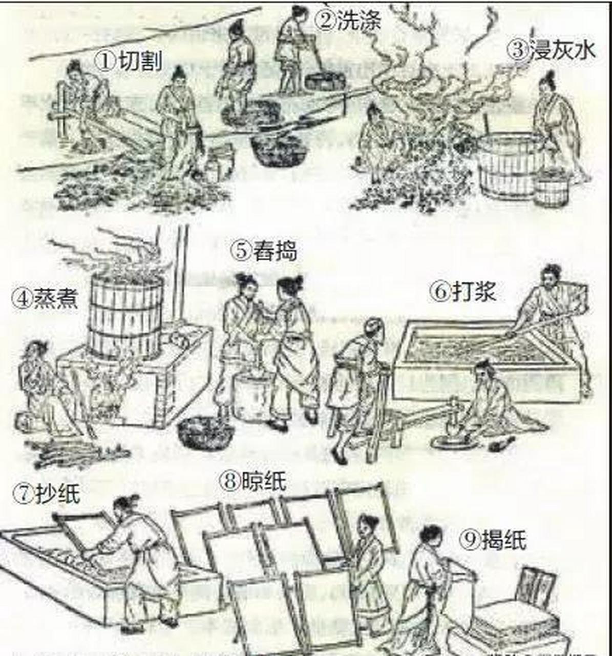 造纸术六大过程图片图片