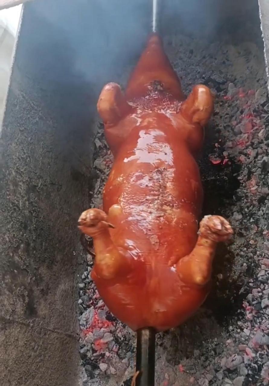 烤乳猪就是这么烤得吗?我怎么一点食欲也没有 #搞笑趣味图