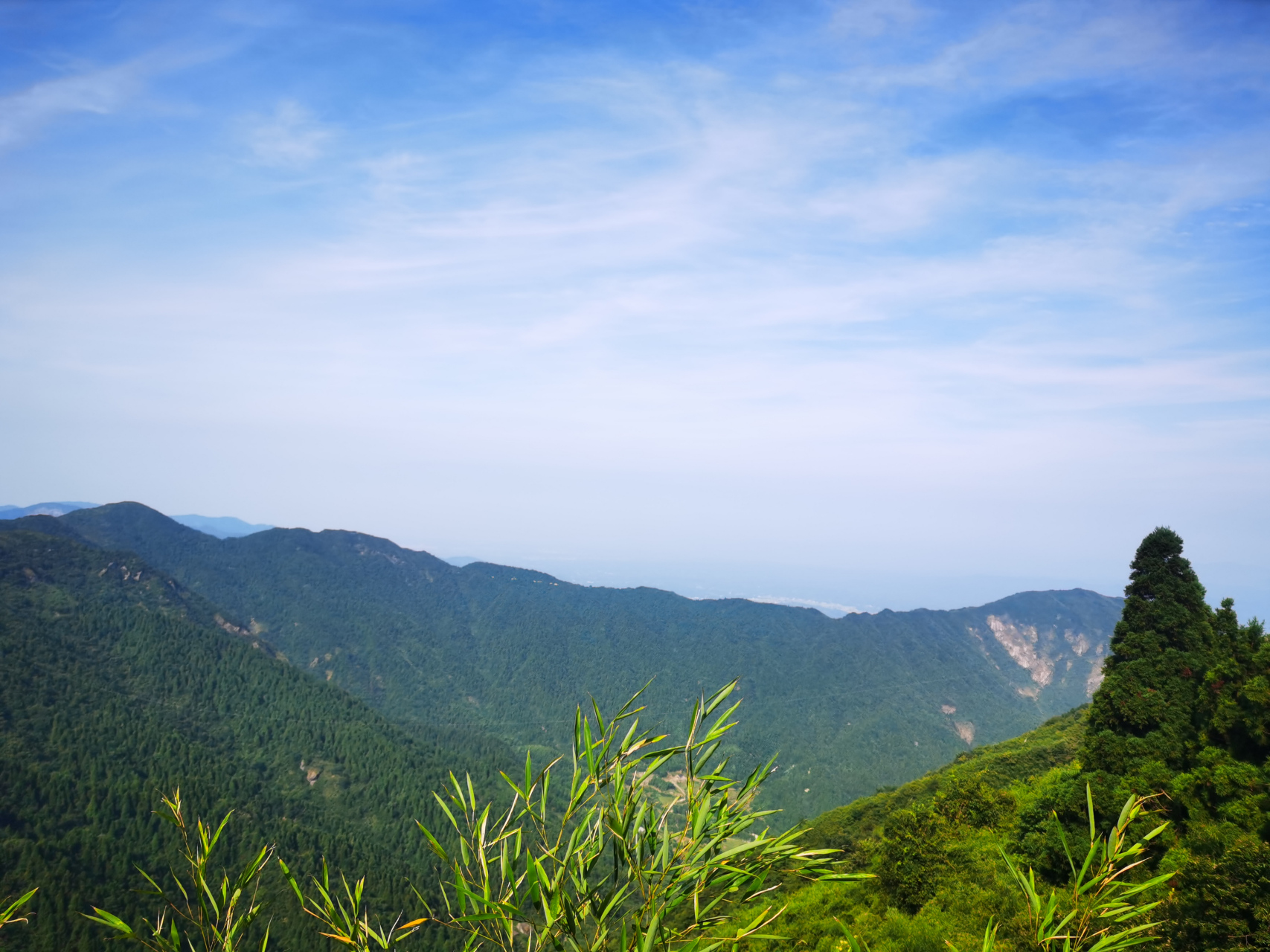 每日读诗: 《题花山寺壁》 (北宋) 苏舜钦 寺里山因花得名,繁英不见草