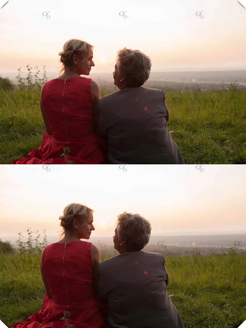 《最后一课》一部感人至深的佳作  这部电影讲述了92岁的玛德琳决定在