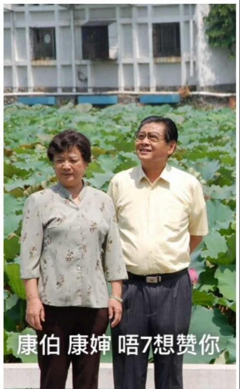 丁玲,外来媳妇本地郎里的常香兰,她与老公,都已是白发苍苍