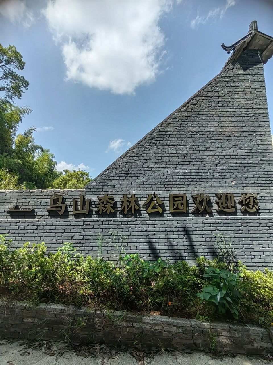 每周一山,乌山森林公园  长沙竹林秘境:乌山森林公园新手徒步攻略