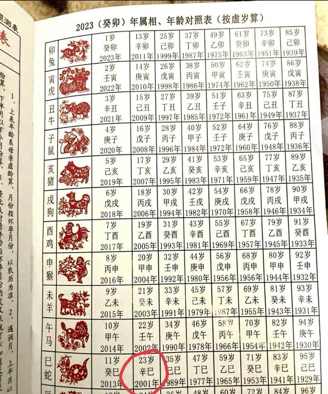 原来01年的小金蛇都23岁了 你呢,又多大了呢