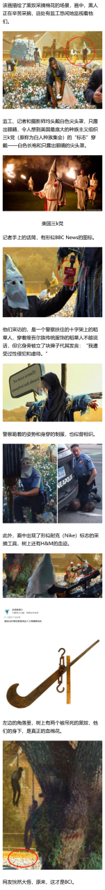 乌合麒麟新作讽刺bci# 【带你解读乌合麒麟新作:血棉行动!