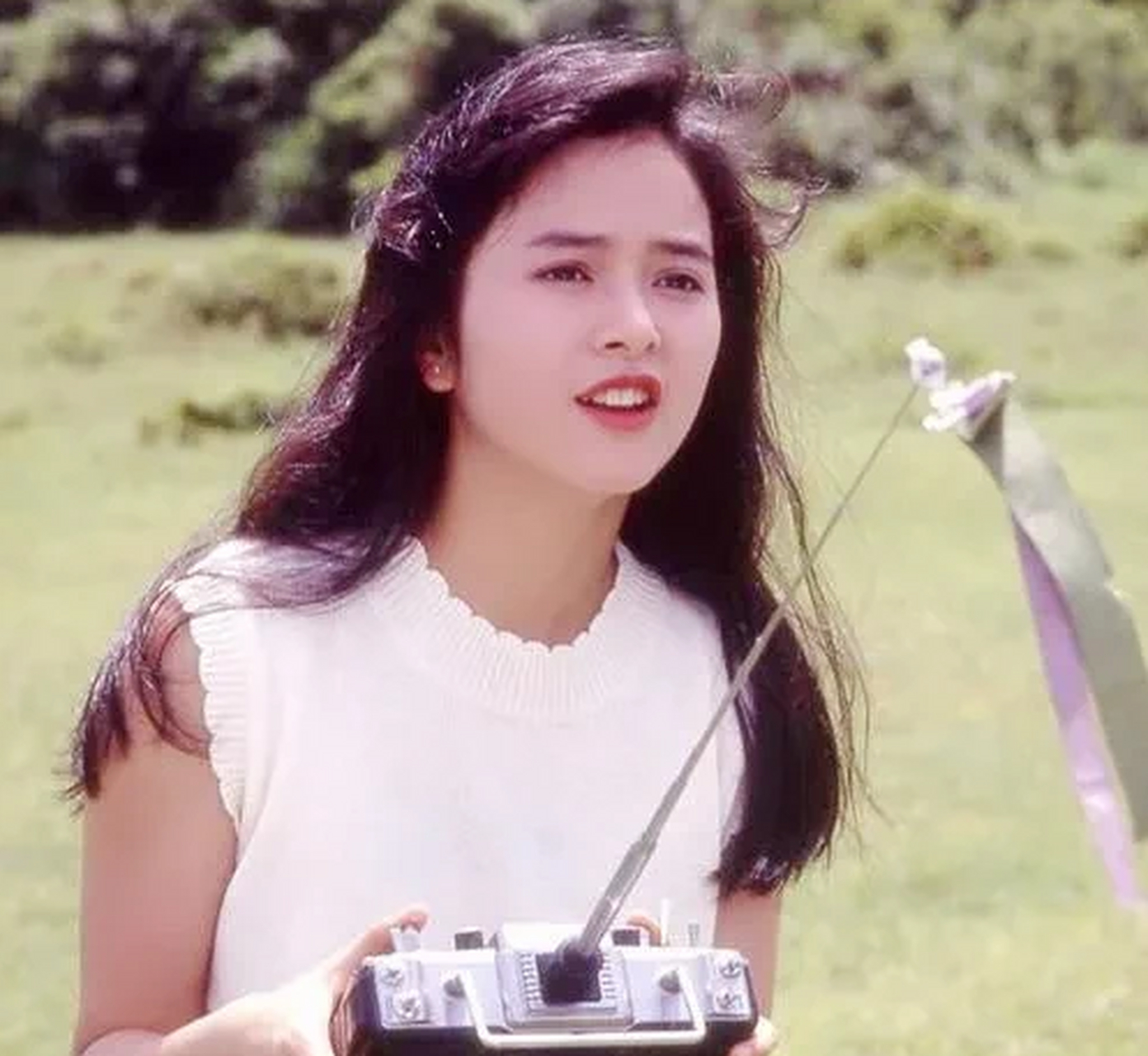 1995年,香港富商陈柏浩认识了22岁的叶蕴仪,对她一见钟情.
