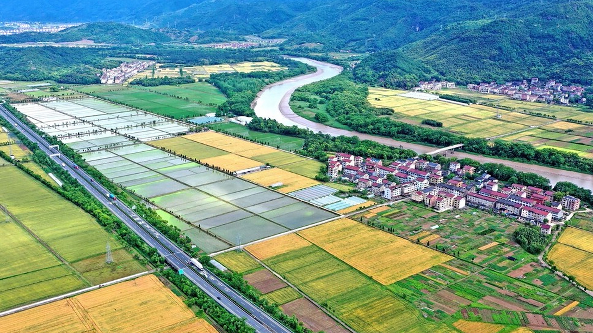 浙江临海市永丰镇的稻田与村庄,河流,青山构成了一幅美丽的田园山村