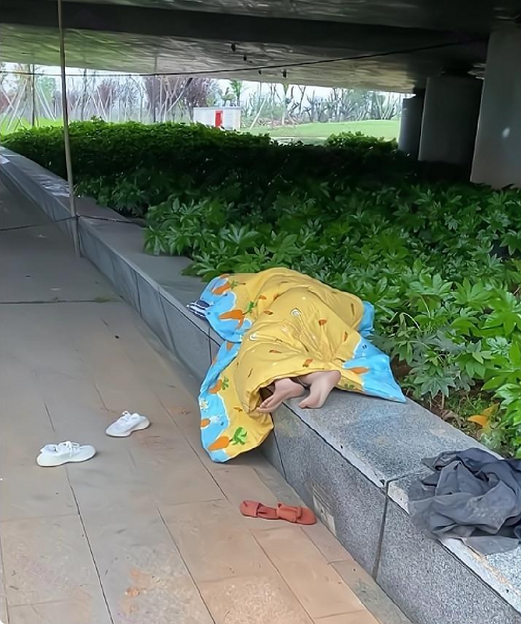 遇见一个睡桥洞的女孩子,我想给她一个家